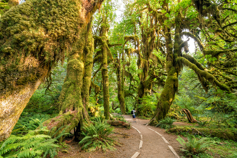 Parque Nacional Olímpico