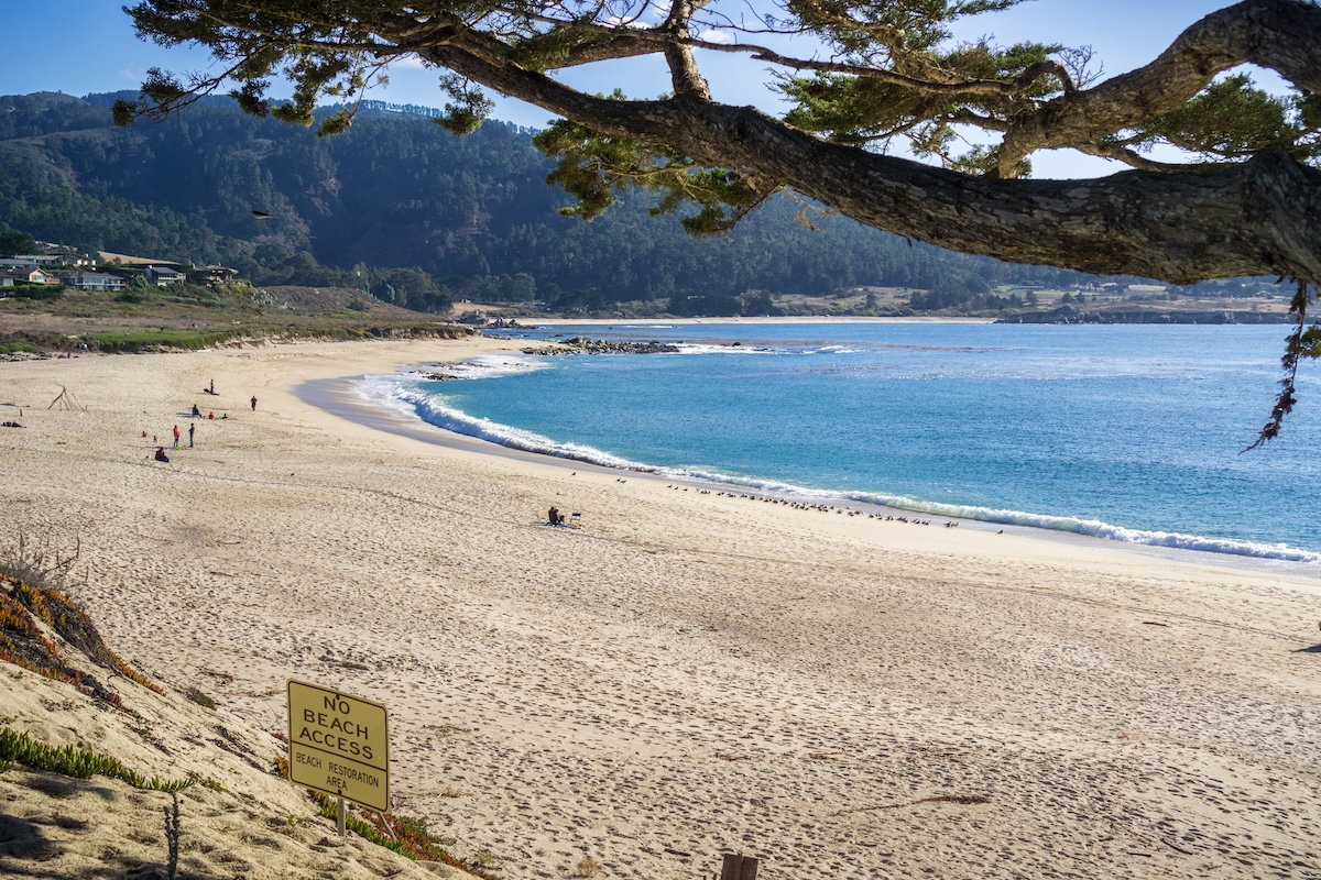 Playa estatal del río Carmel