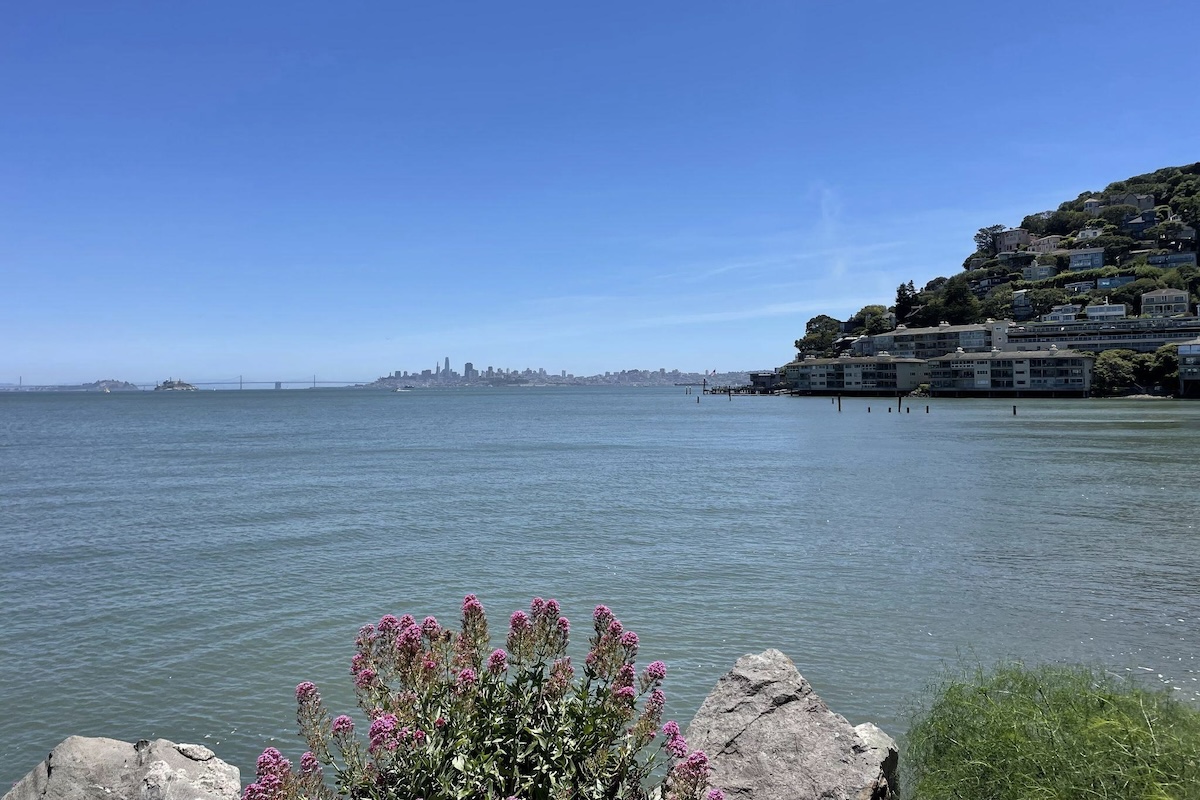 La vista de San Francisco desde el parque Tiffany