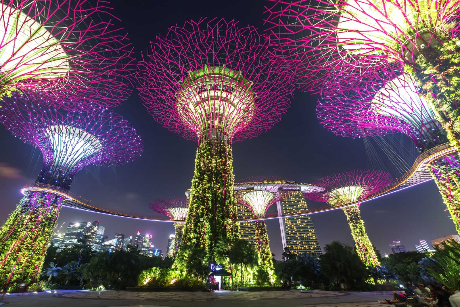 Gardens by the Bay en Singapur