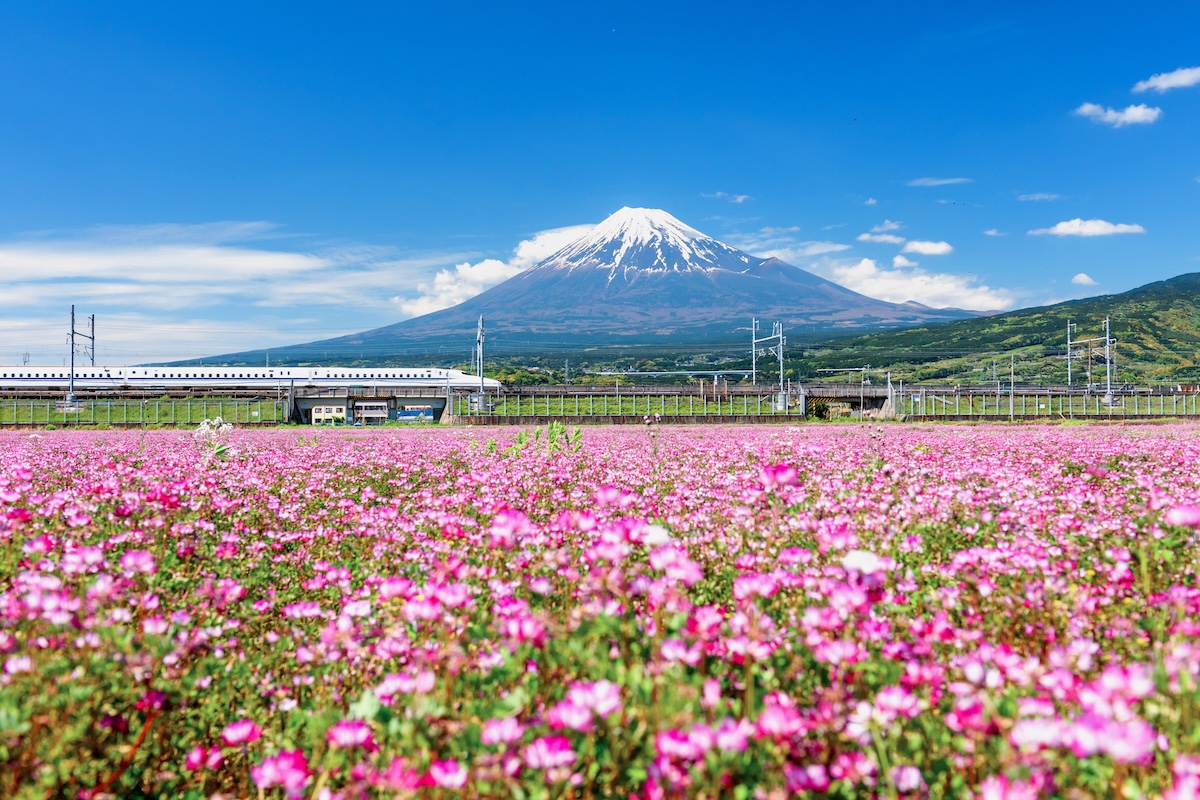 Tren del Monte Fuji