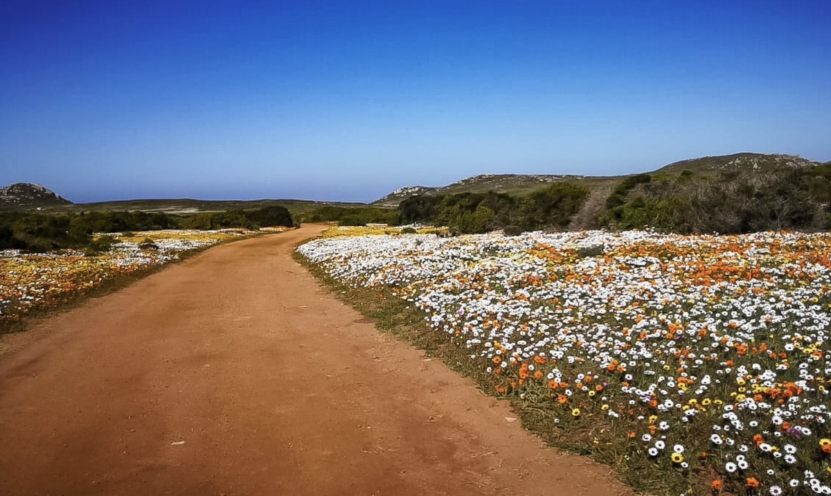 Namaqualand