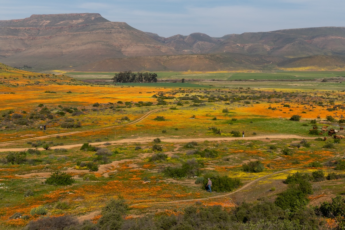 Namaqualand