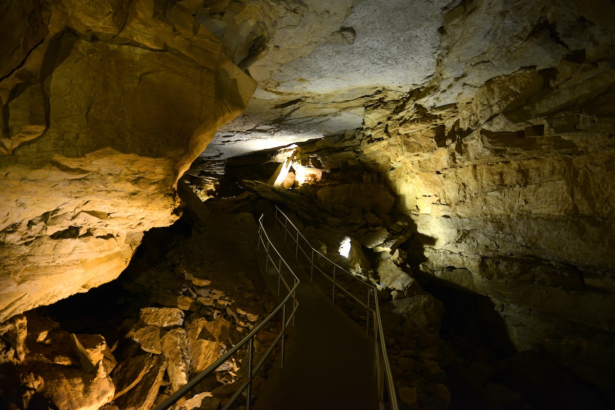 Visita a la Cueva del Mamut