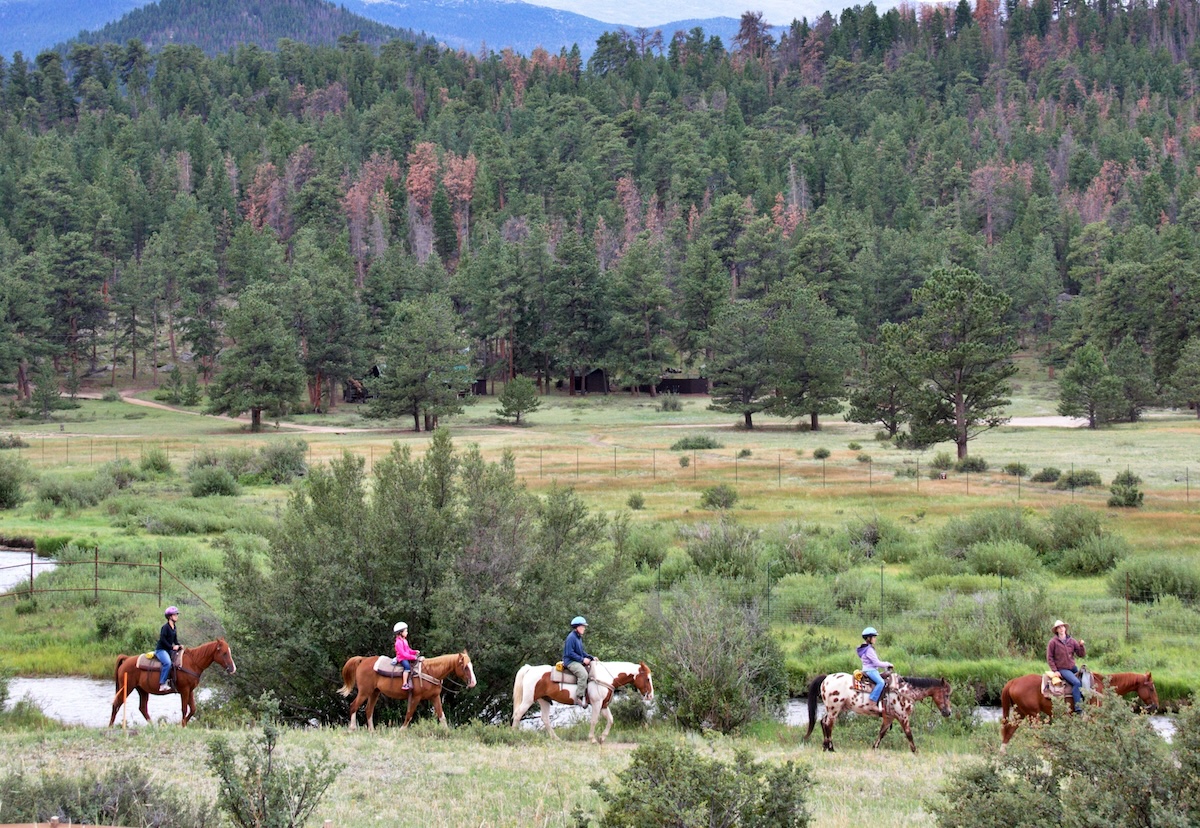 Paseos a caballo