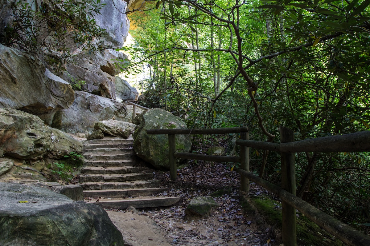 Centro de la Naturaleza