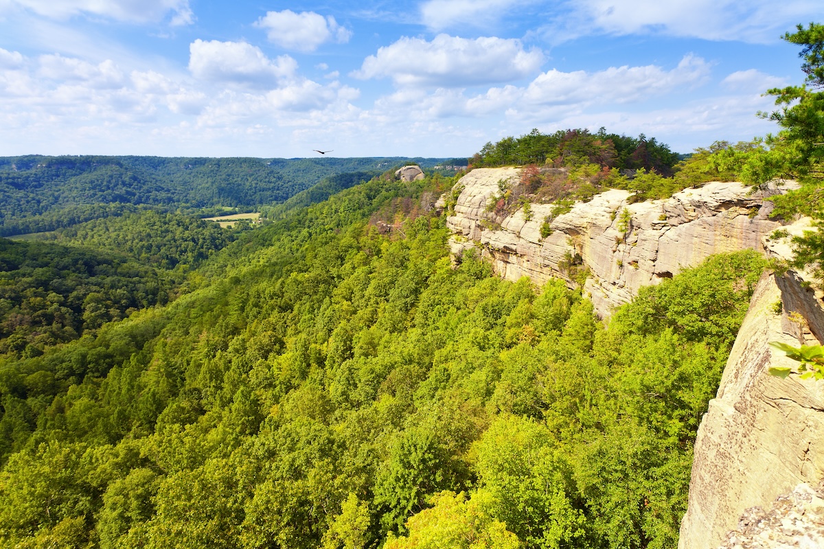 Red River Gorge en Kentucky