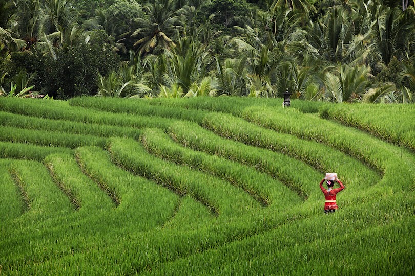 Bali