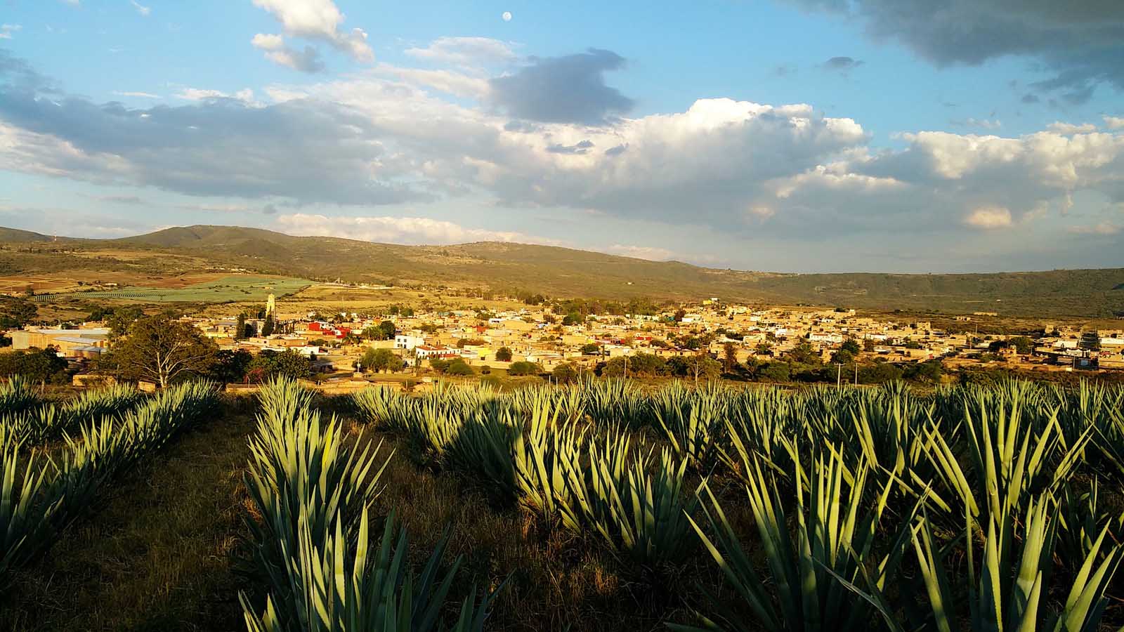 Tequila en México