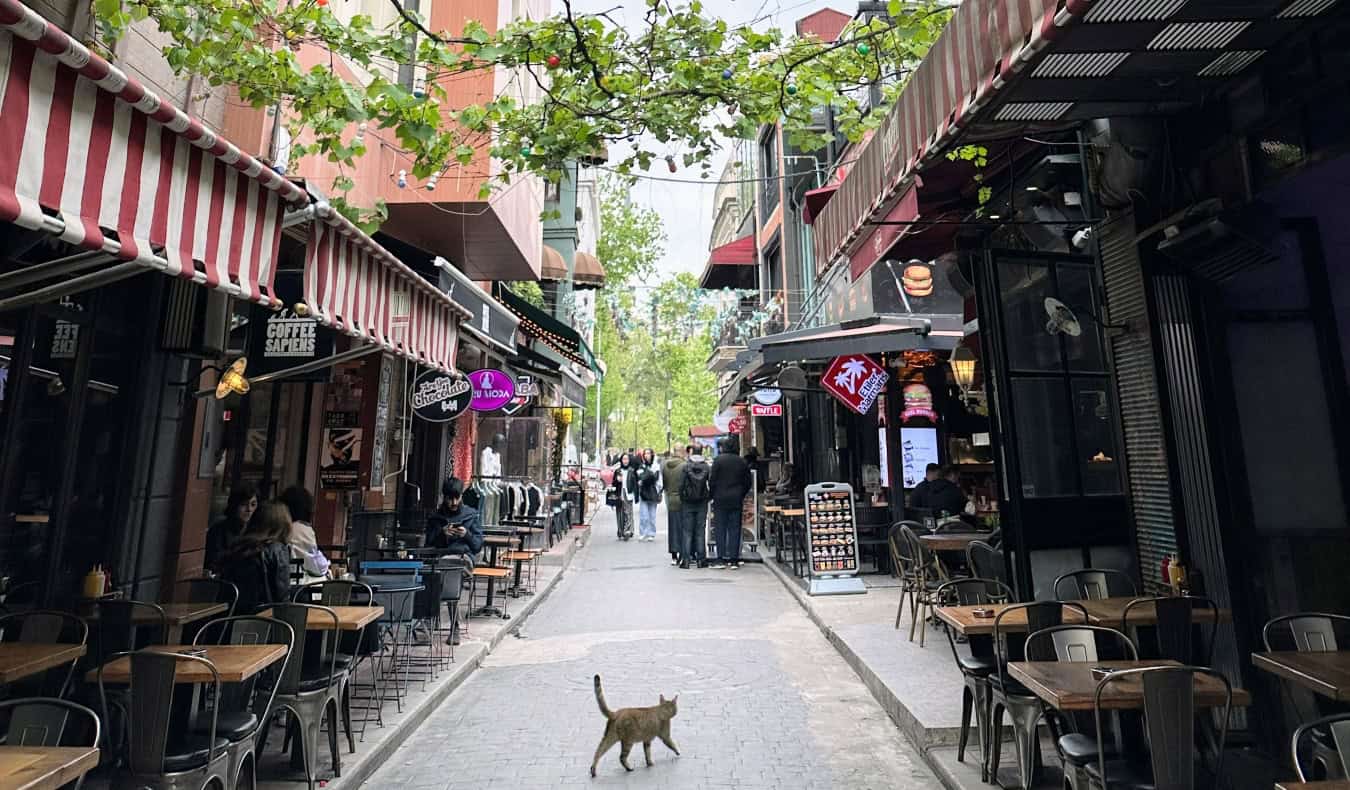 Un gato camina por una calle llena de cafeterías al aire libre en Beyoglu, Estambul