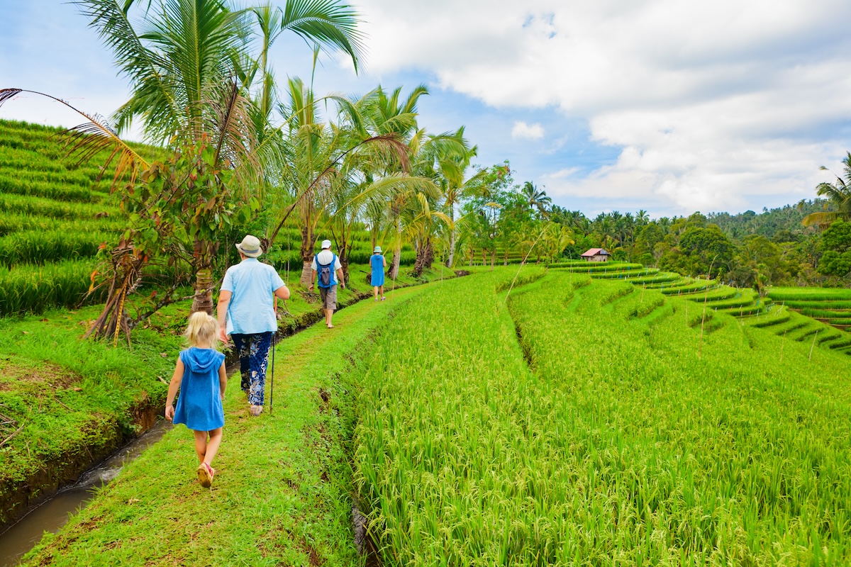 Familia Bali