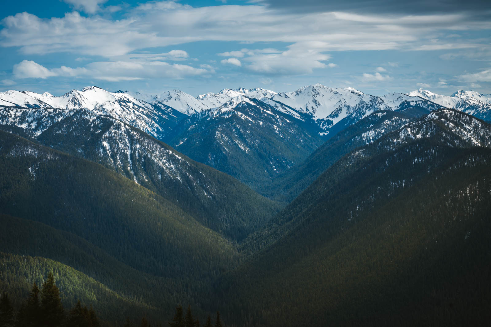 lugares divertidos para visitar en agosto USA Olympic National Park