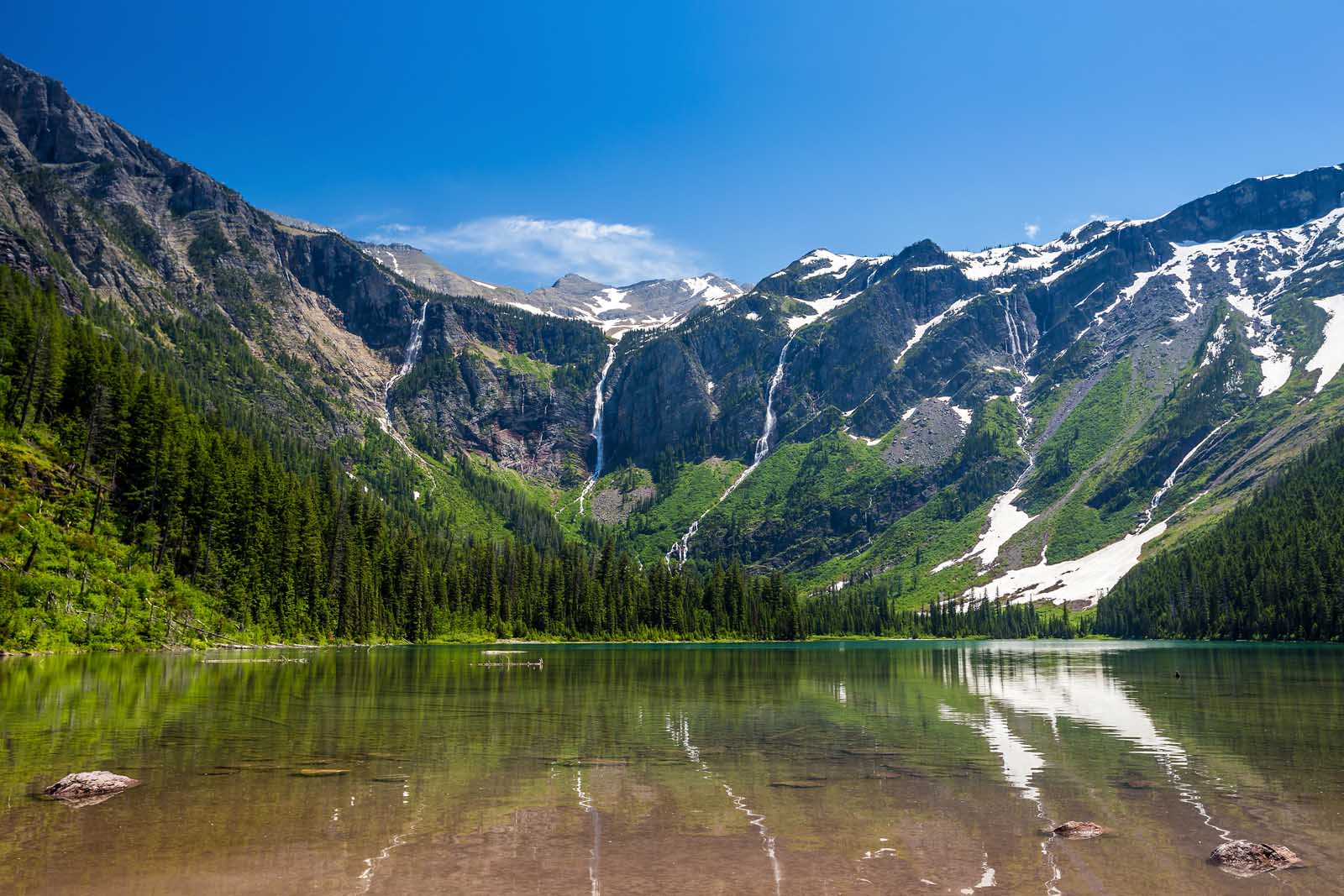 Los mejores lugares para visitar en agosto en el Parque Nacional Glacier de Estados Unidos