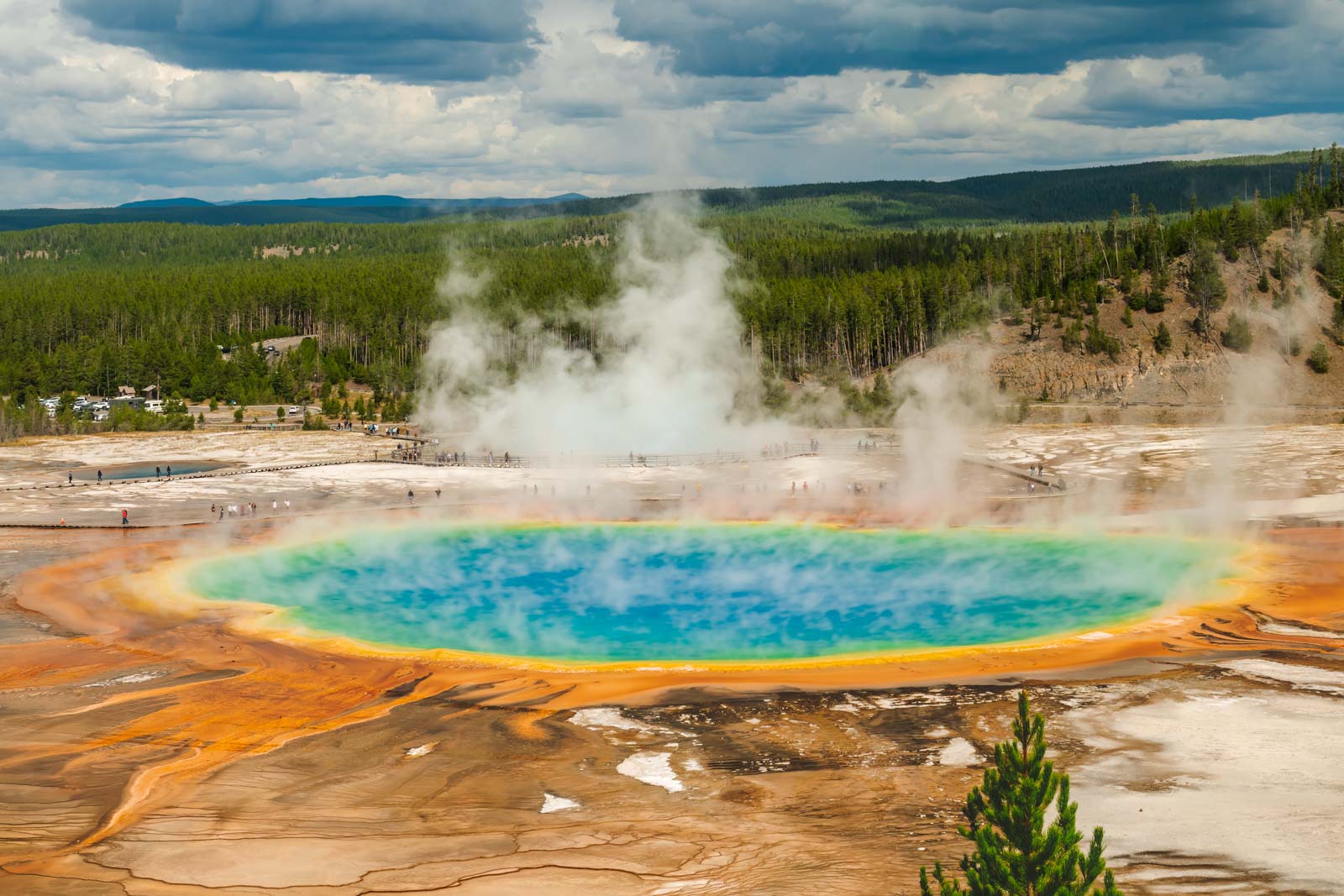 Maravillas geotérmicas en el Parque Nacional de Yellowstone