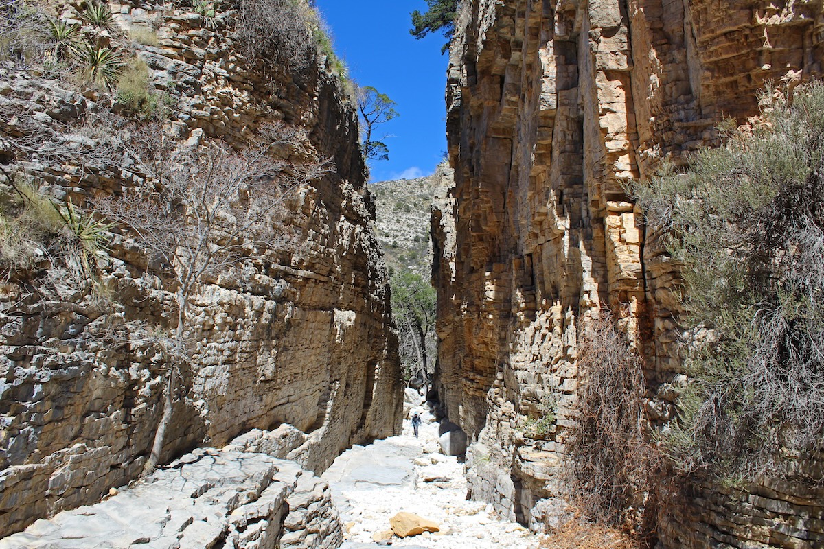 Parque Nacional de las Montañas de Guadalupe