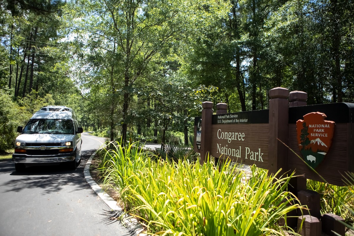 Parque Nacional Congaree