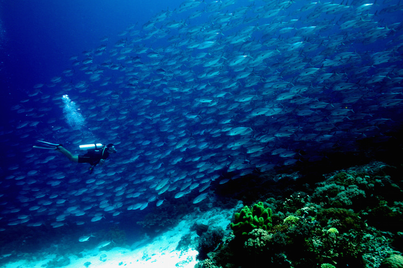 Arrecife de Tubbataha