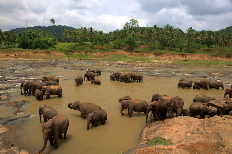 Sri Lanka