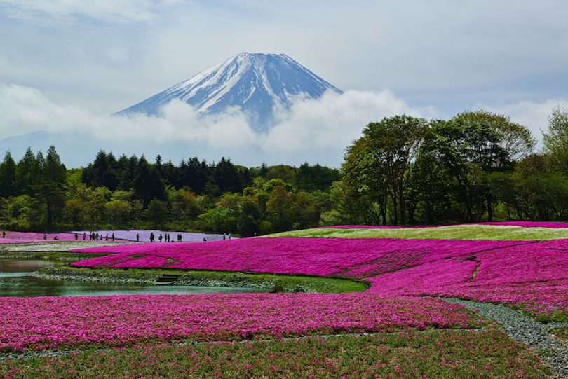 Japón