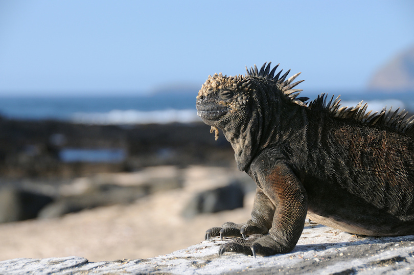 Islas Galápagos