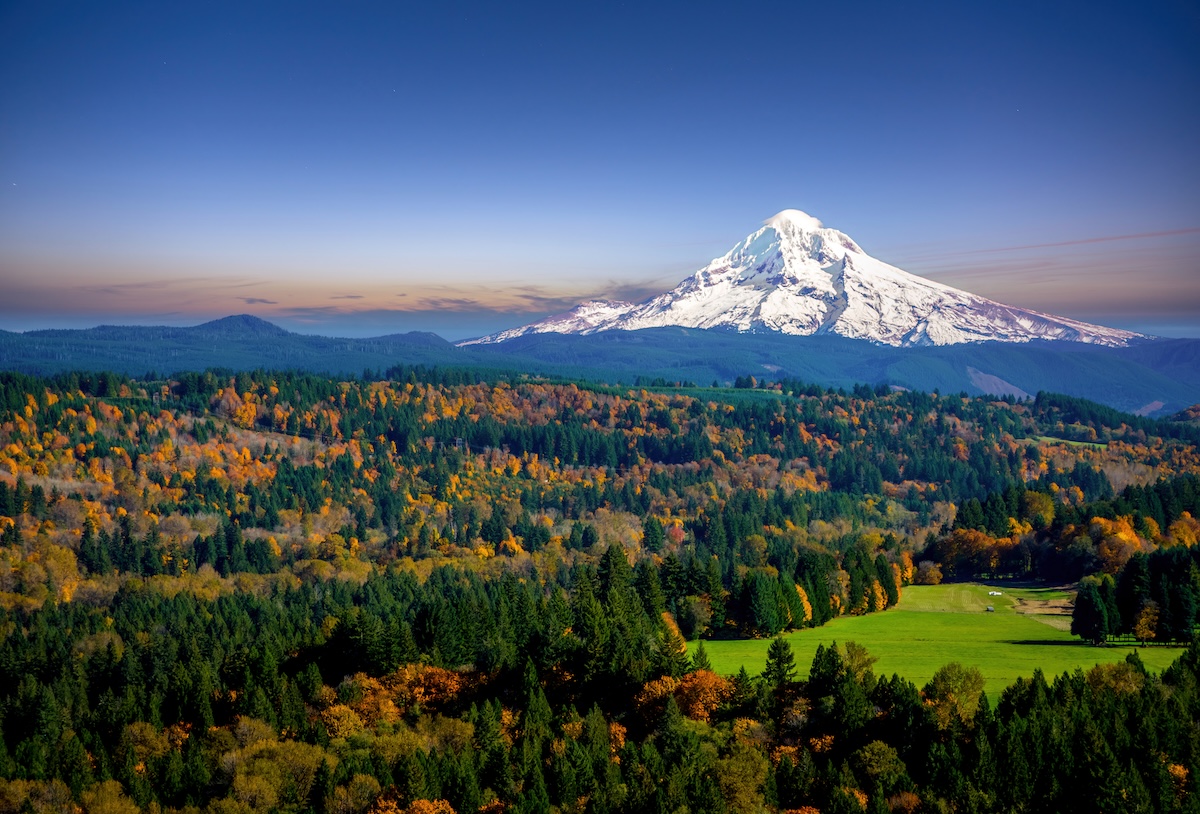 Bosque Nacional Mount Hood