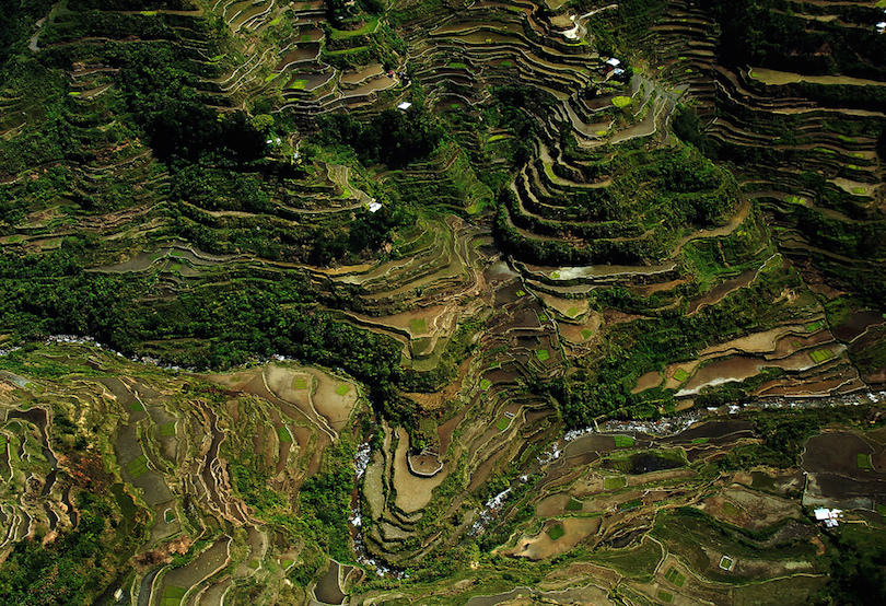 Terrazas de arroz de Banaue