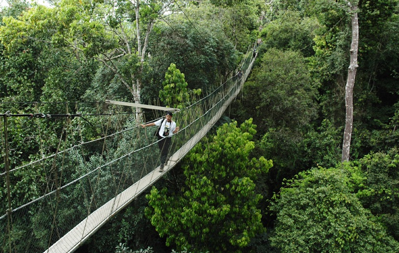 Tamán Negara