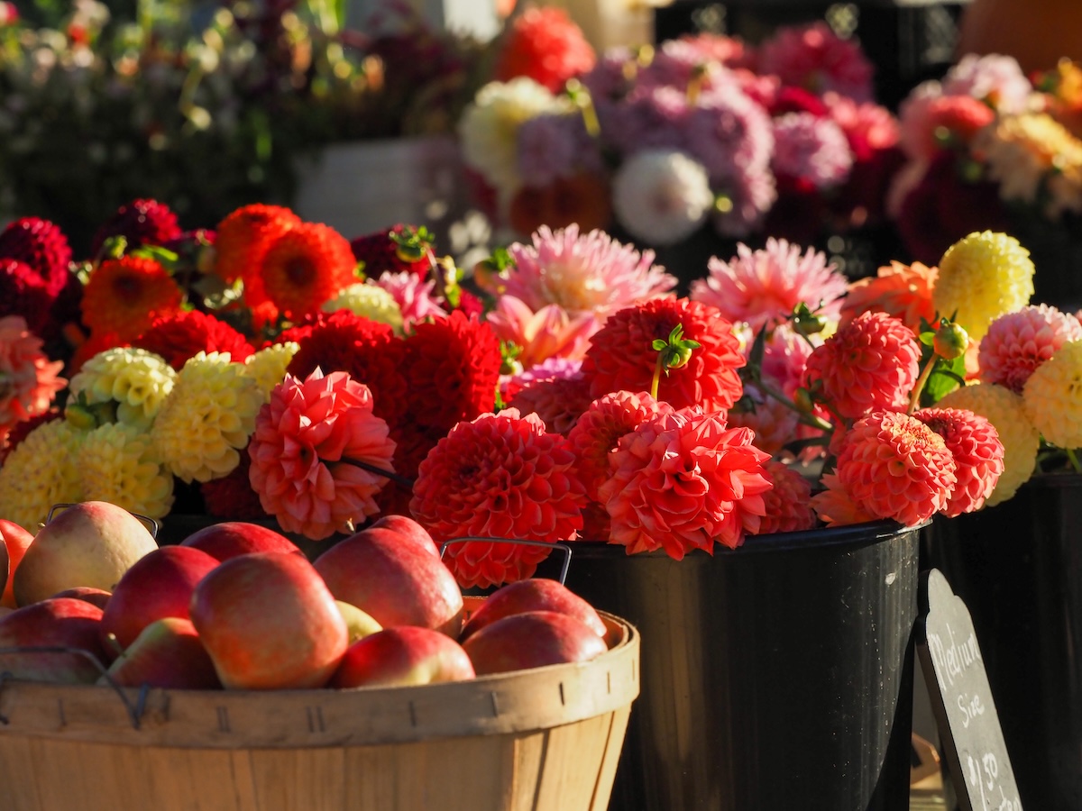 Mercado de payés de Holanda