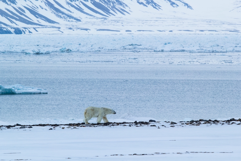 Parque nacional de Sor-Spitsbergen