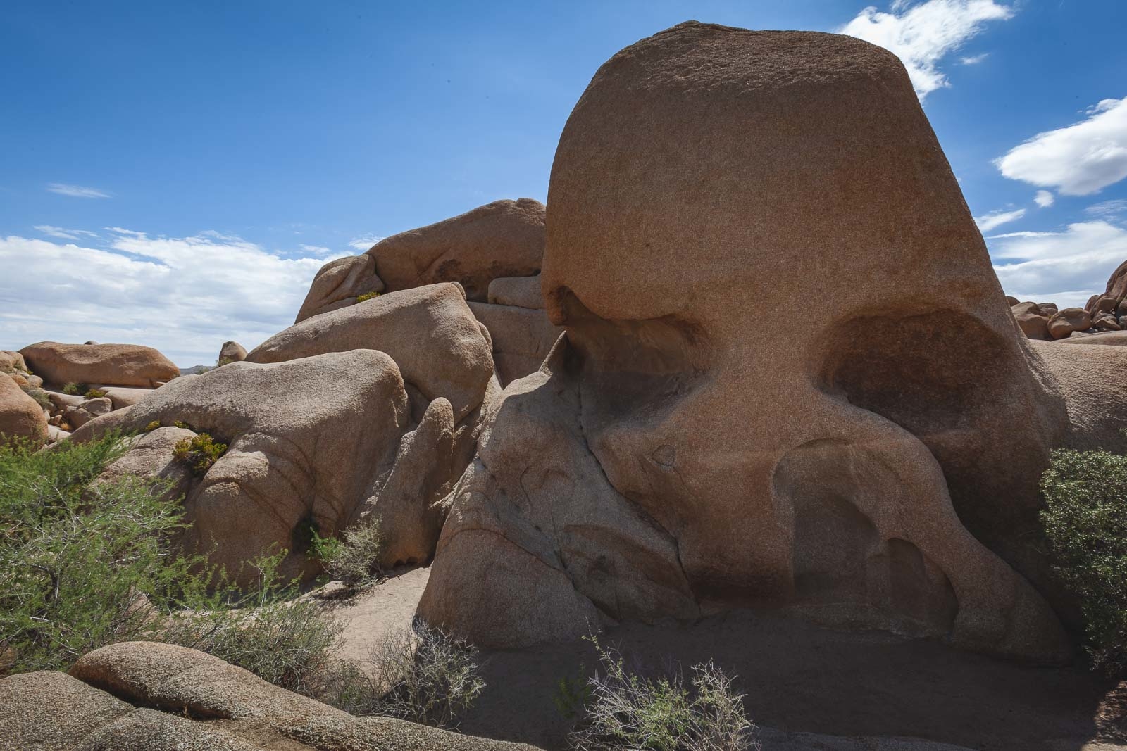 Skull Rock en el Parque Nacional de Joshua Tree