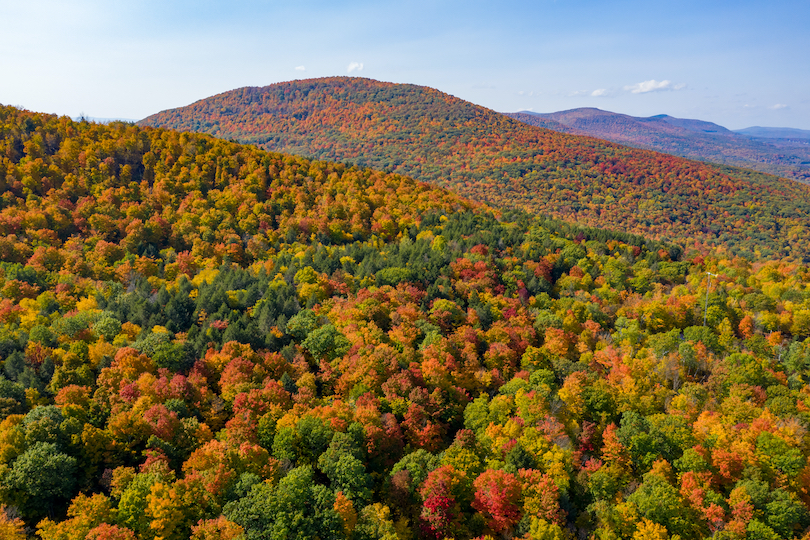 Los Catskills