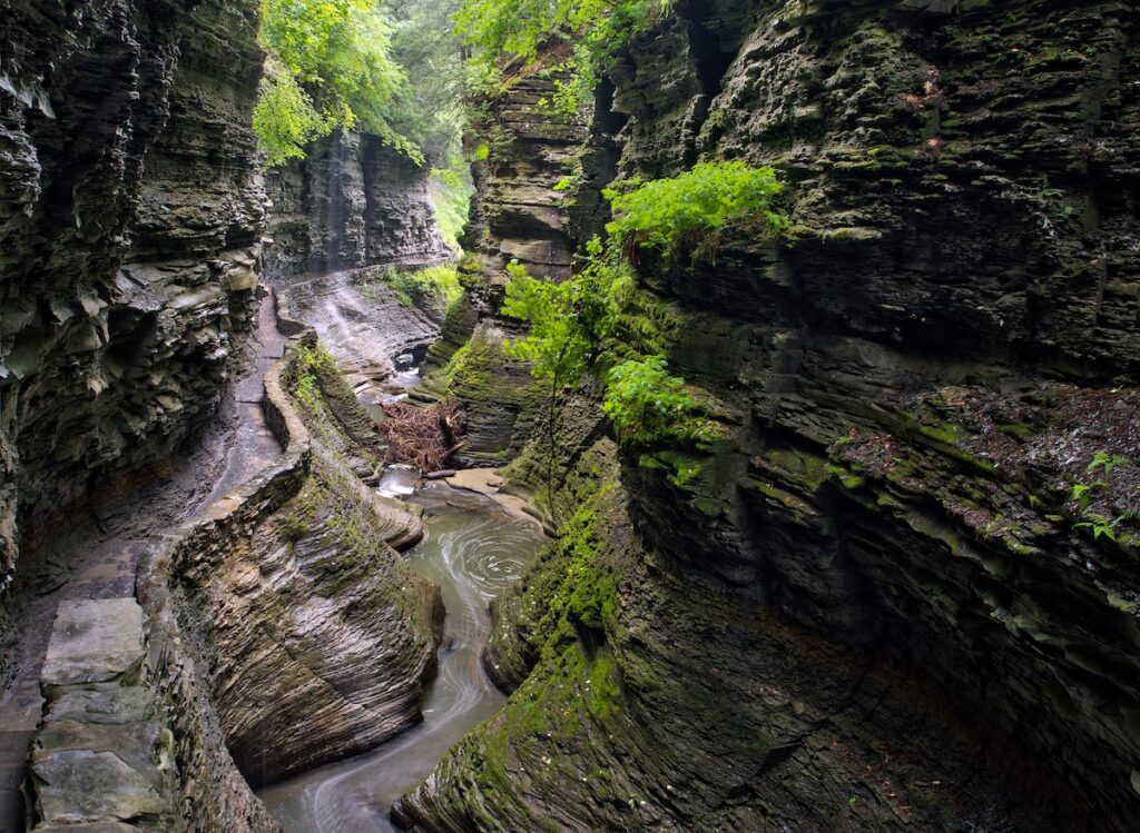 Gorge Trail