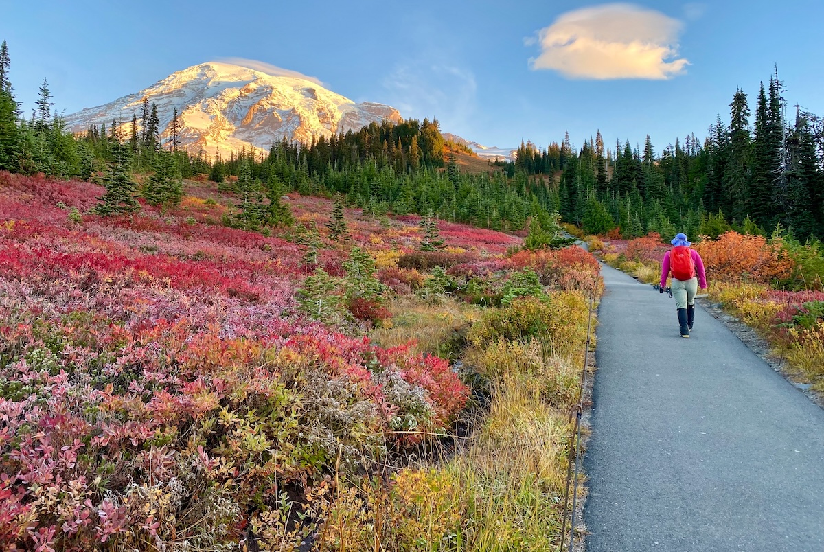 Follaje de otoño del Mont Rainier